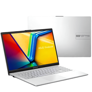 Asus Vivobook GO 