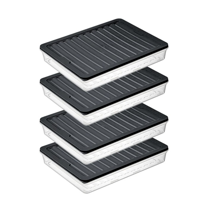 bigmate 4'lü Şeffaf Saklama Kabı Siyah 4x2,5 Lt BGMT2525 Mikrodalga Buzdolabı ve Dondurucu Uyumlu Dü
